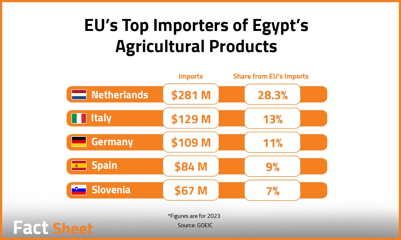 Egypt-Italy Ro-Ro Line: A New Gateway for Agricultural Exports